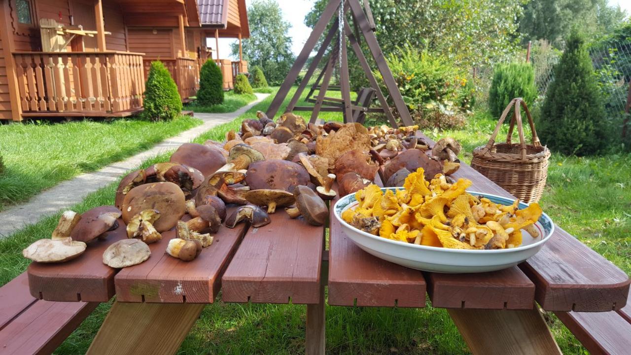 Domek letniskowy Kanzas Jarosławiec